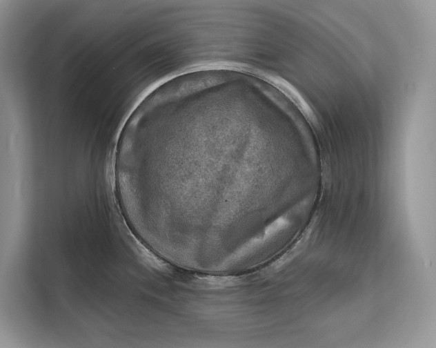 X0000112201244200908281433