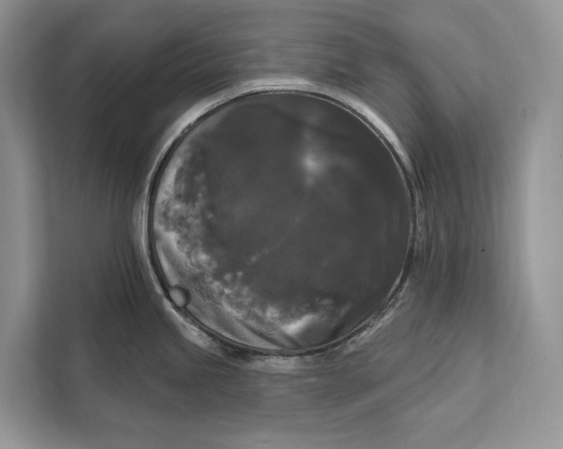 X0000112201245200908281433