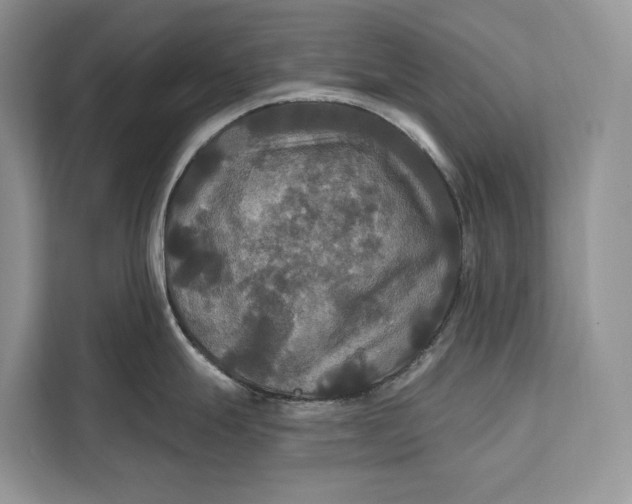 X0000112201247200908281433