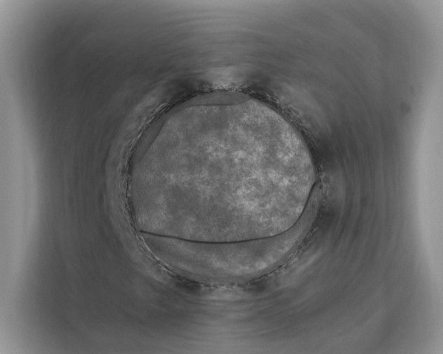 X0000112201249200908281432