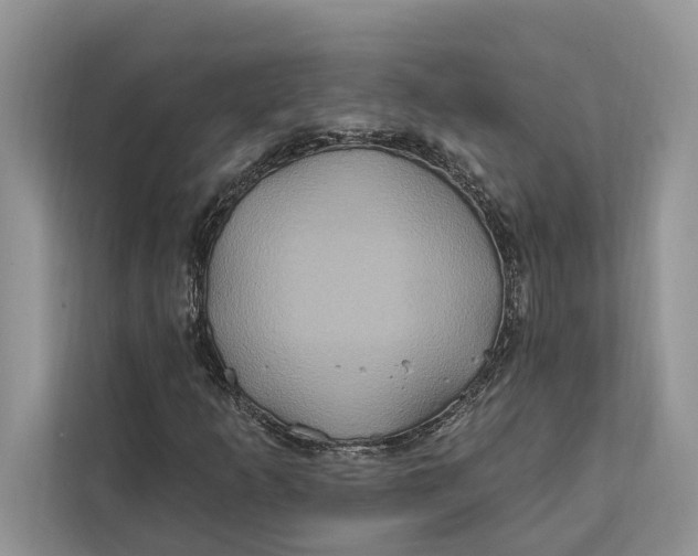 X0000112201253200908281432