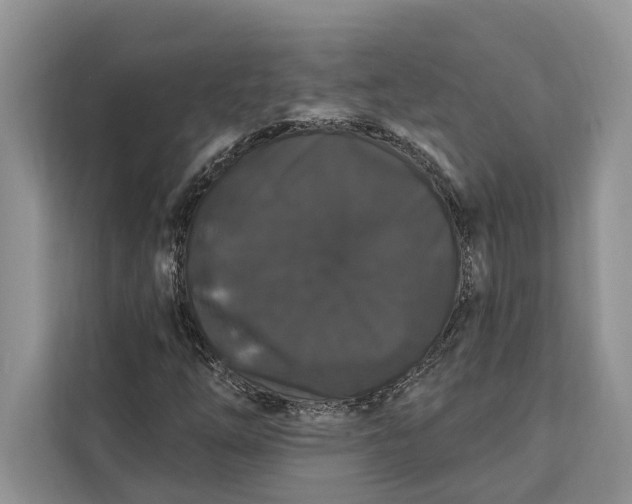 X0000112201254200908281432