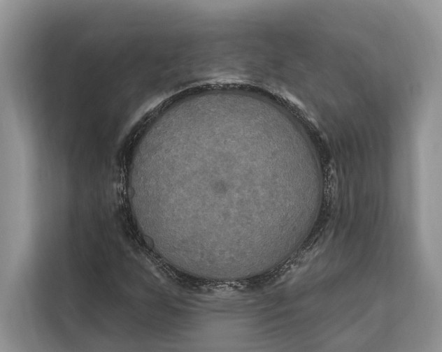 X0000112201255200908281432