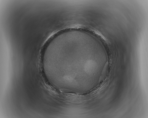 X0000112201256200908281432