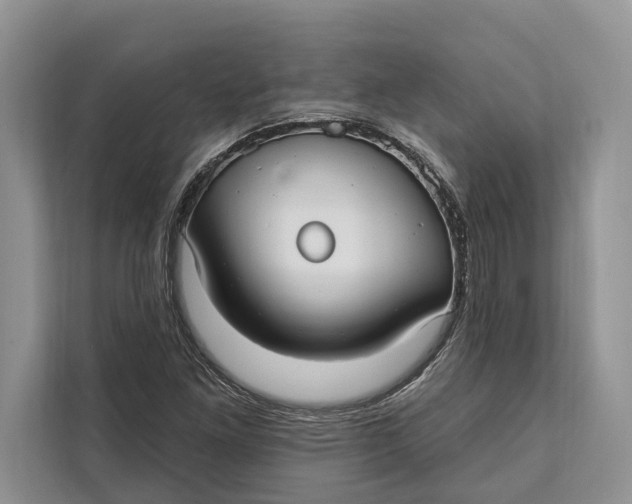 X0000112201261200908281432