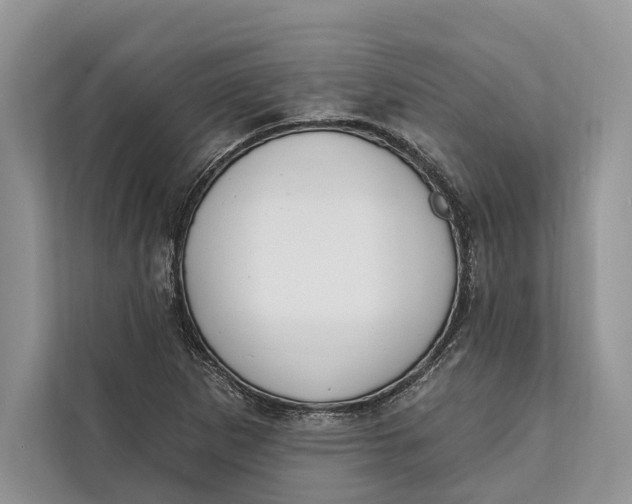 X0000112201265200908281432