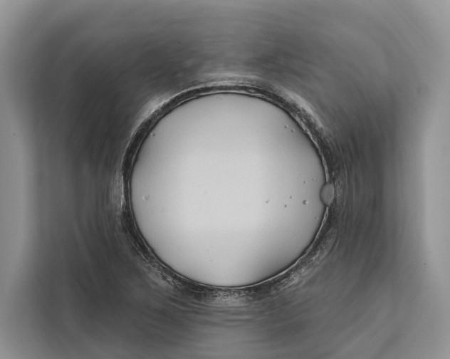 X0000112201267200908281432