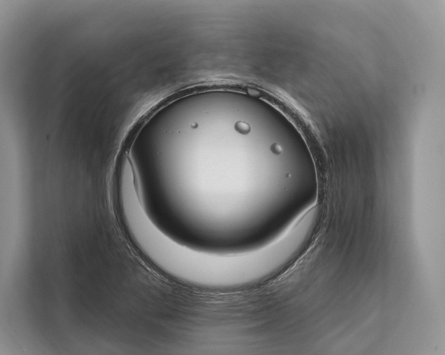 X0000112201269200908281432