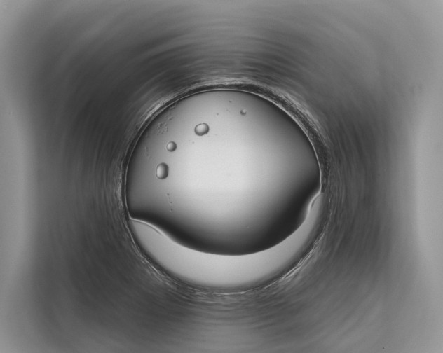 X0000112201273200908281432