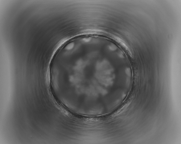 X0000112201275200908281432