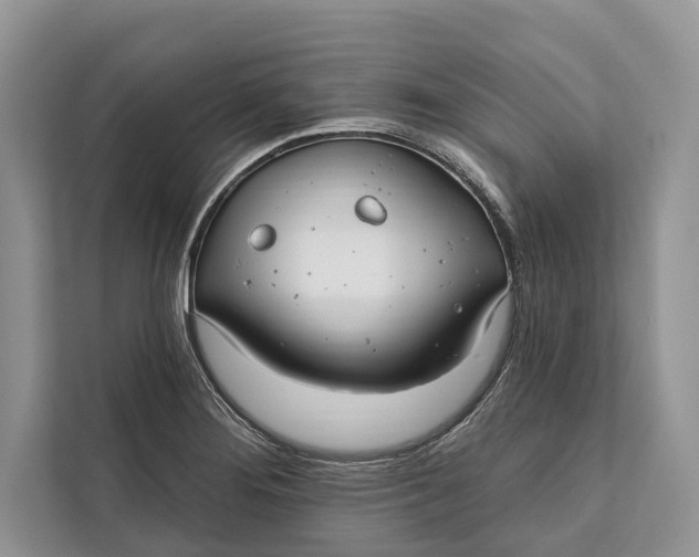 X0000112201276200908281432