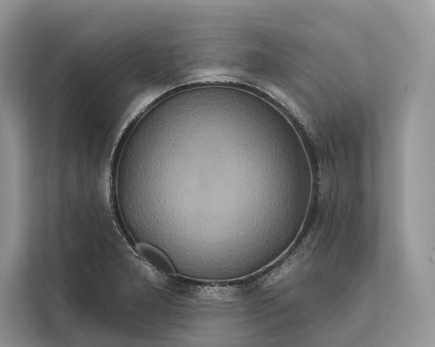 X0000112201277200908281432