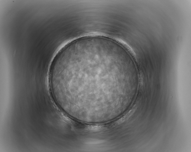 X0000112201278200908281432