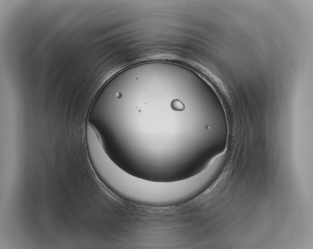 X0000112201281200908281432