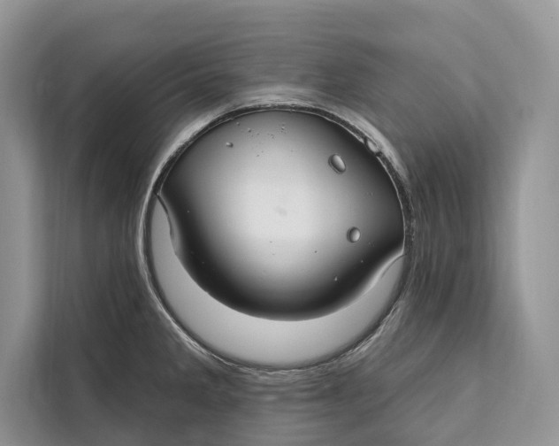 X0000112201285200908281432