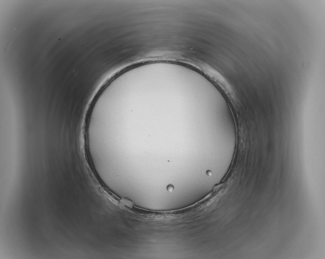 X0000112201288200908281432