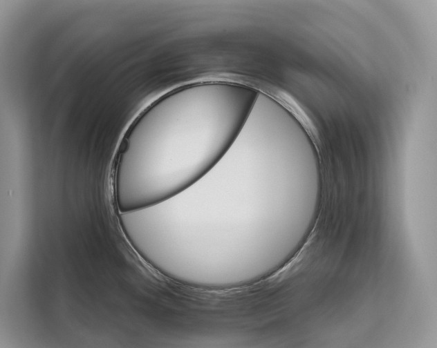 X0000112201292200908281432