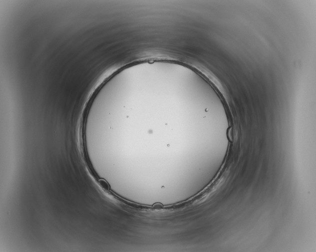 X0000112201293200908281432