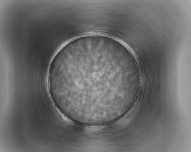 X0000112201294200908281432