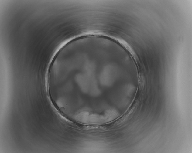 X0000112201295200908281432