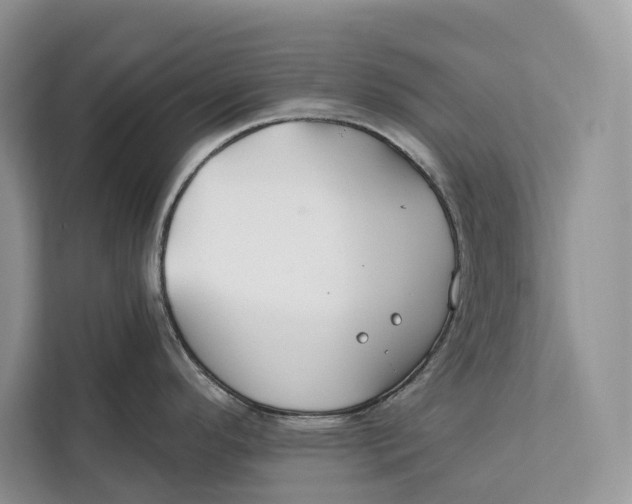 X0000112201296200908281432