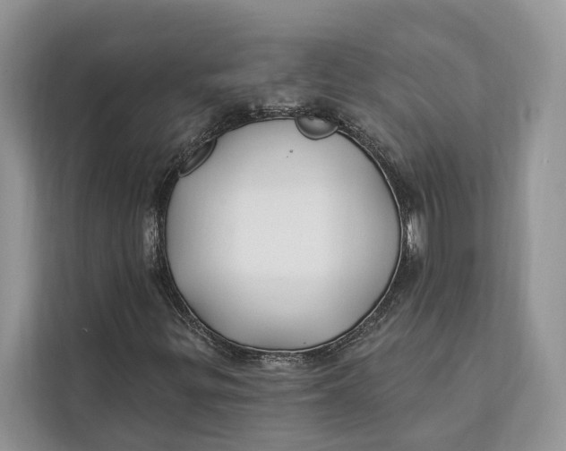 X0000112201299200908281431