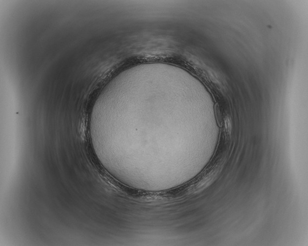 X0000112201300200908281431