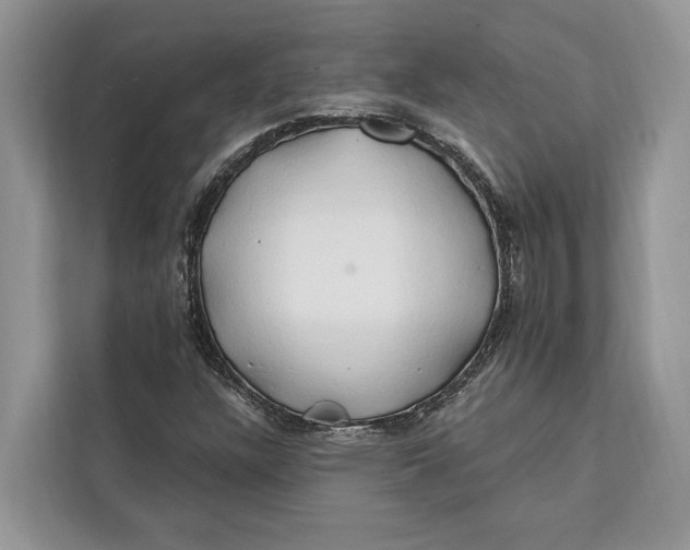 X0000112201304200908281431