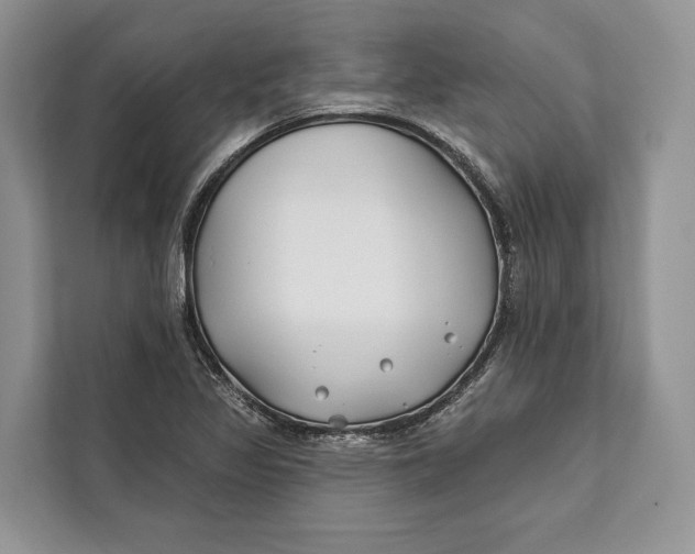 X0000112201317200908281431