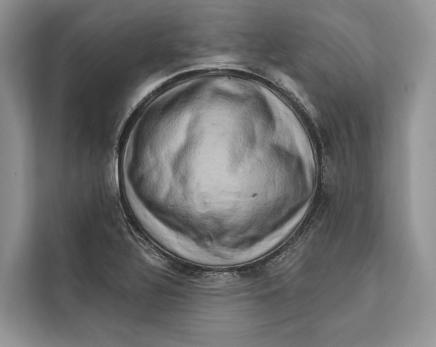 X0000112201320200908281431