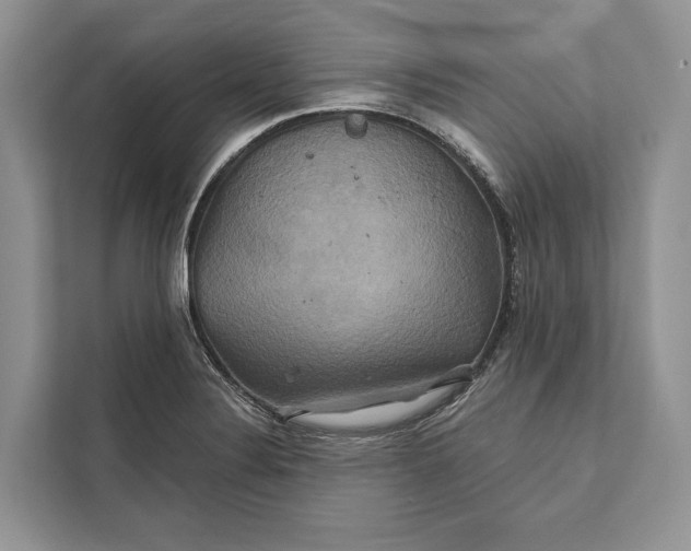 X0000112201324200908281431