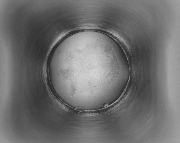 X0000112201325200908281431