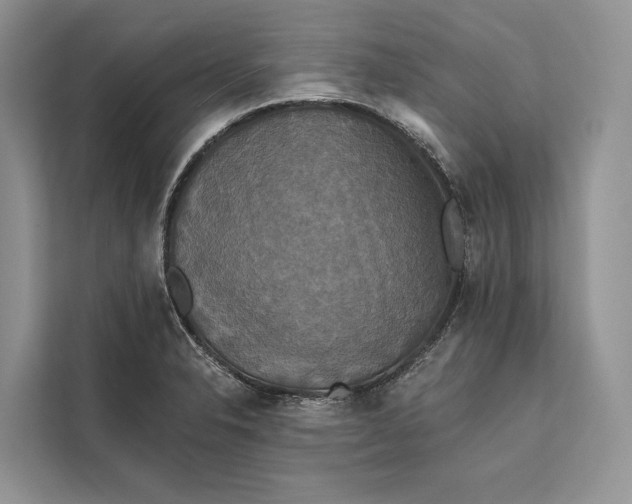 X0000112201326200908281431