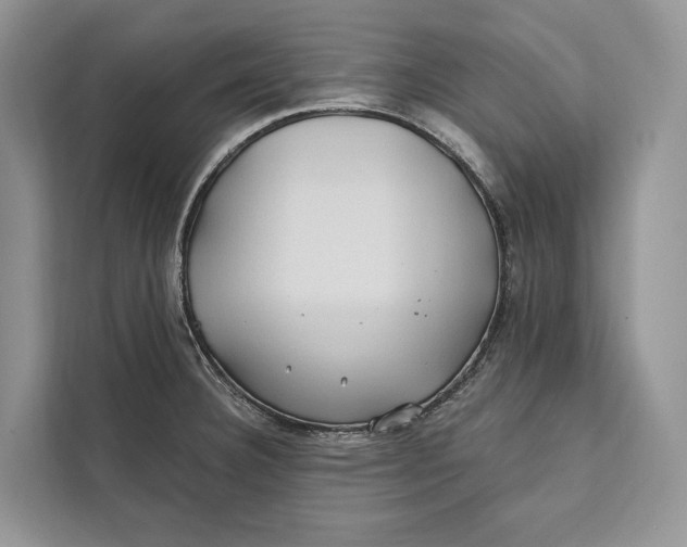 X0000112201332200908281431