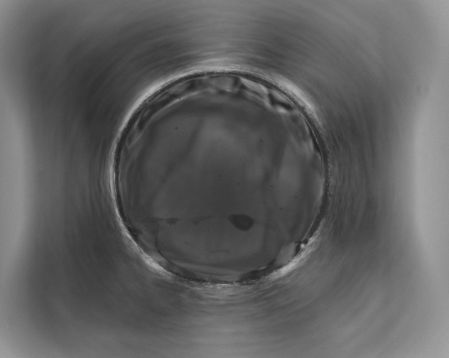 X0000112201334200908281431