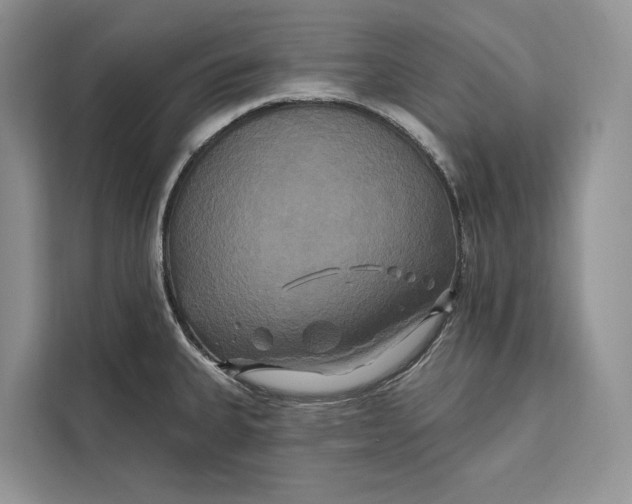 X0000112201335200908281432