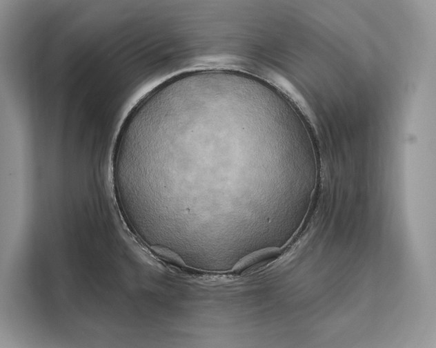 X0000112201336200908281432