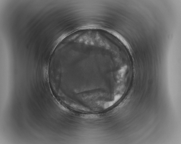 X0000112201337200908281432