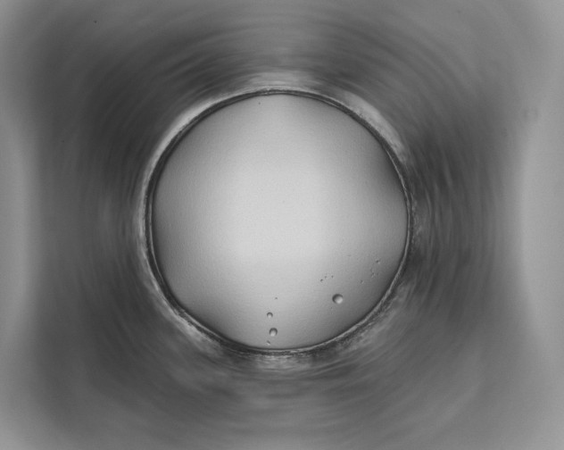 X0000112201339200908281432