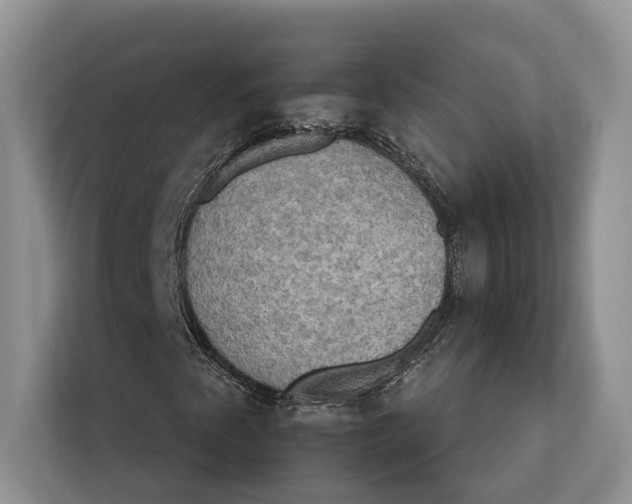 X0000112201345200908281431