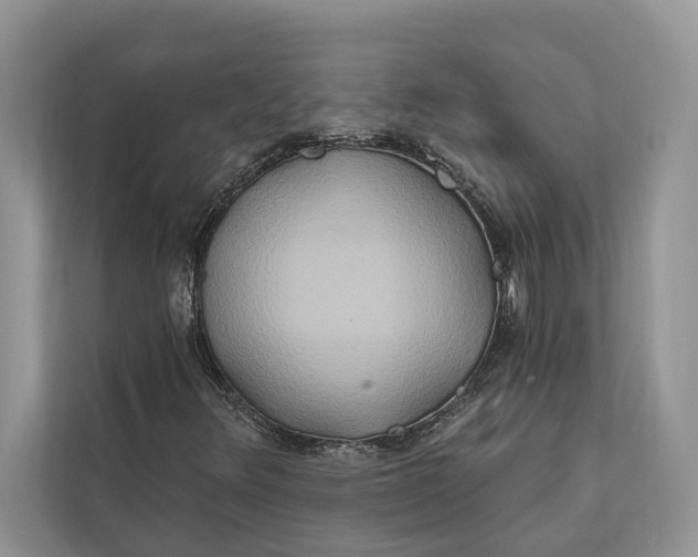 X0000112201348200908281431