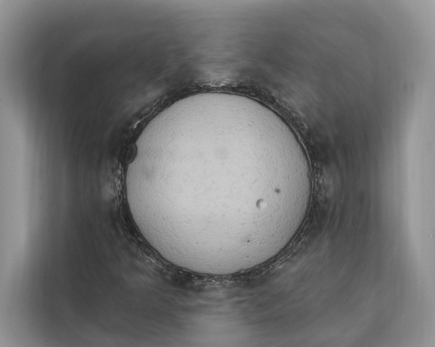 X0000112201349200908281431