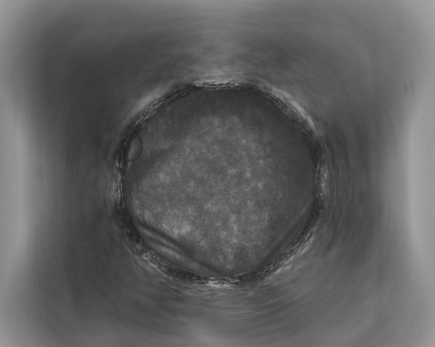 X0000112201350200908281431