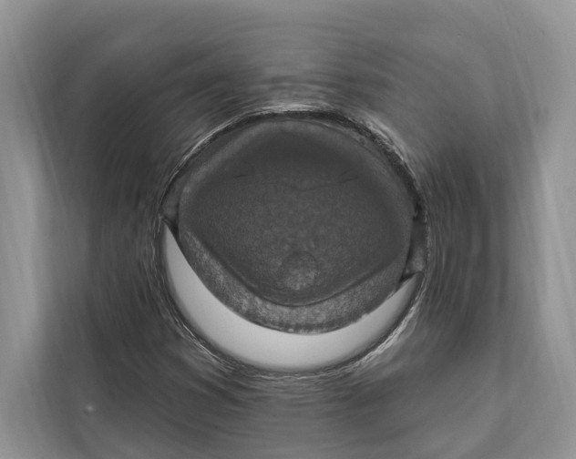 X0000112201353200908281431