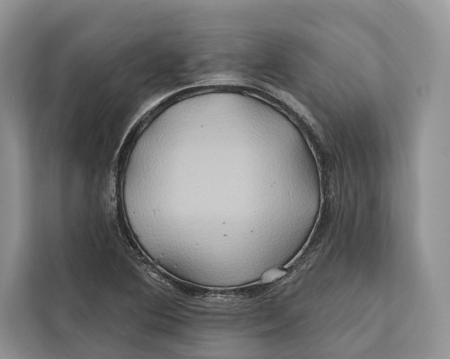 X0000112201364200908281431