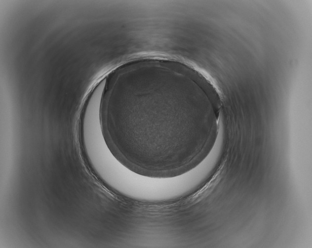 X0000112201365200908281431