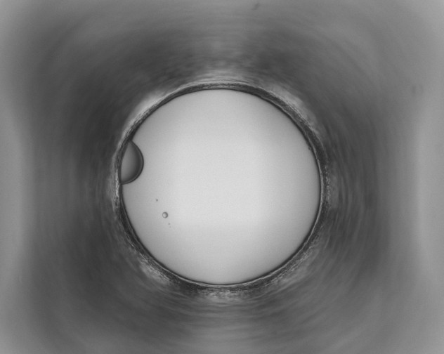 X0000112201366200908281431