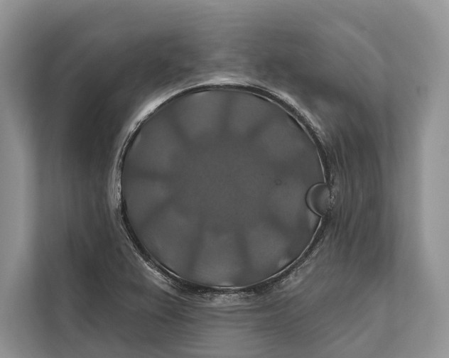 X0000112201367200908281431