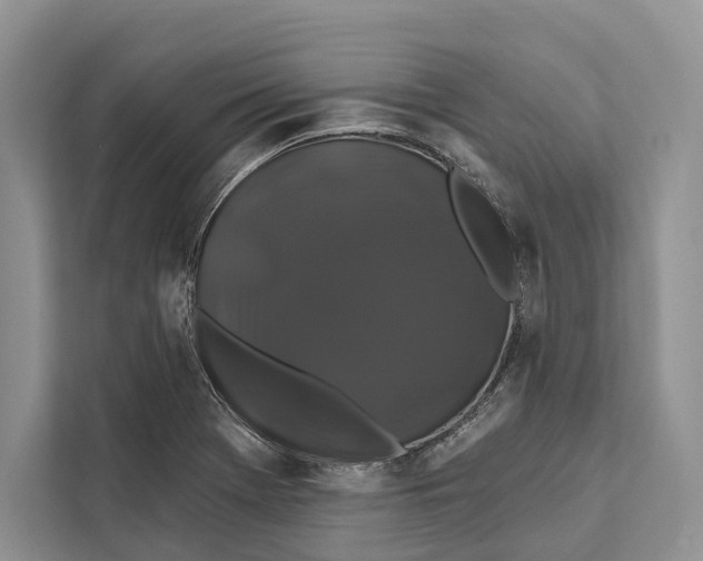 X0000112201369200908281431