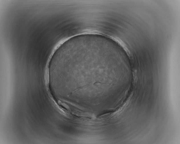 X0000112201371200908281431